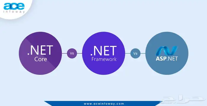 مبرمج تطبيقات ASP.NET بخبرة 0