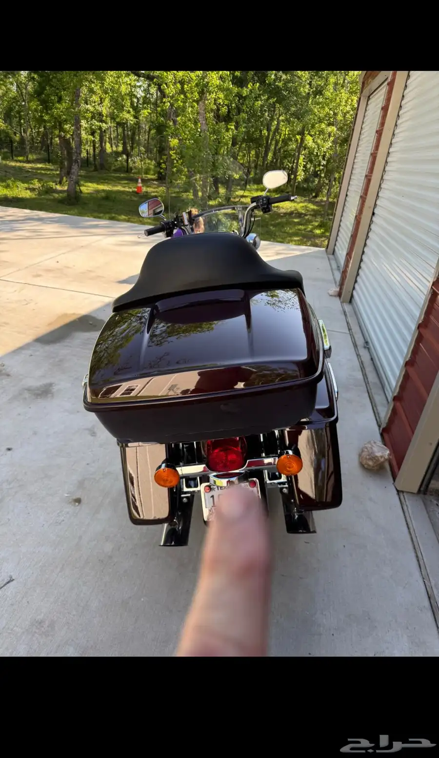 هارلي رود كنج Harley Road King 2021 4