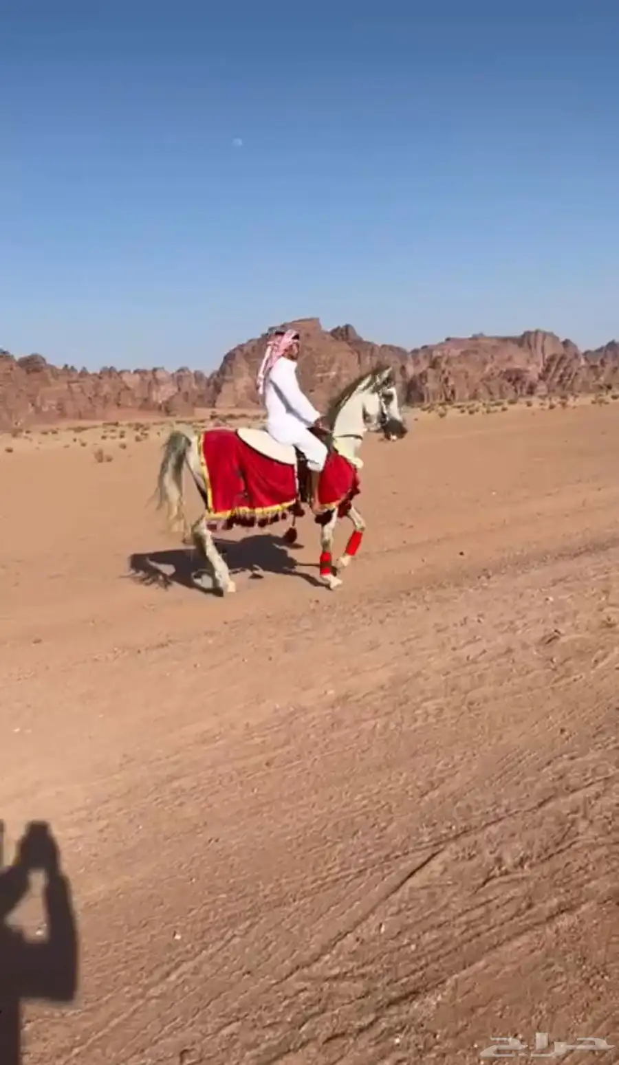 حصان 1