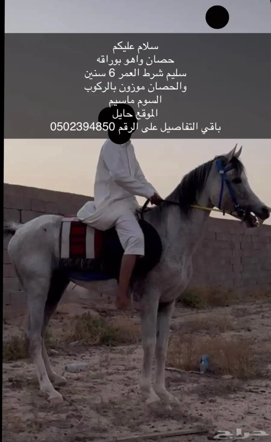 خيل واهو بوراقه ماسيم ارجا التوصل على الرقم ( ) 0