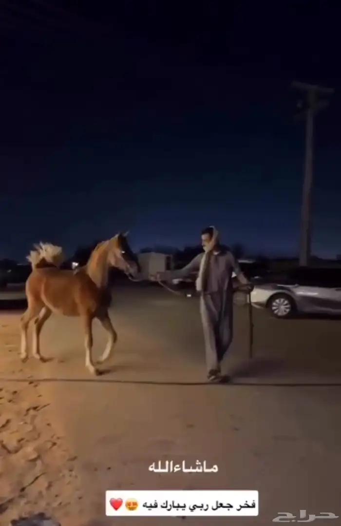 مهر فاخر كفو 3