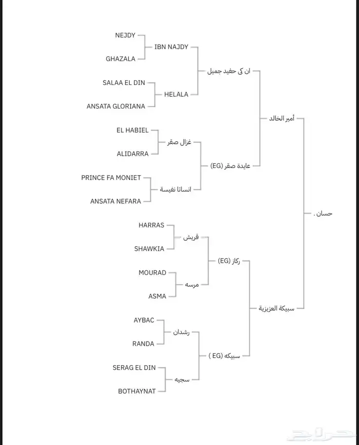 فحل مصري منتج و متاح للتشبيه لوجه الله 12
