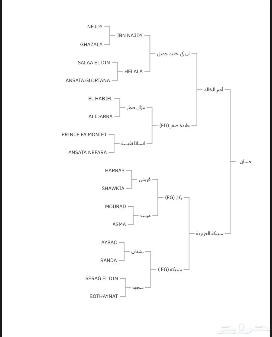 فحل مصري منتج و متاح للتشبيه لوجه الله 12