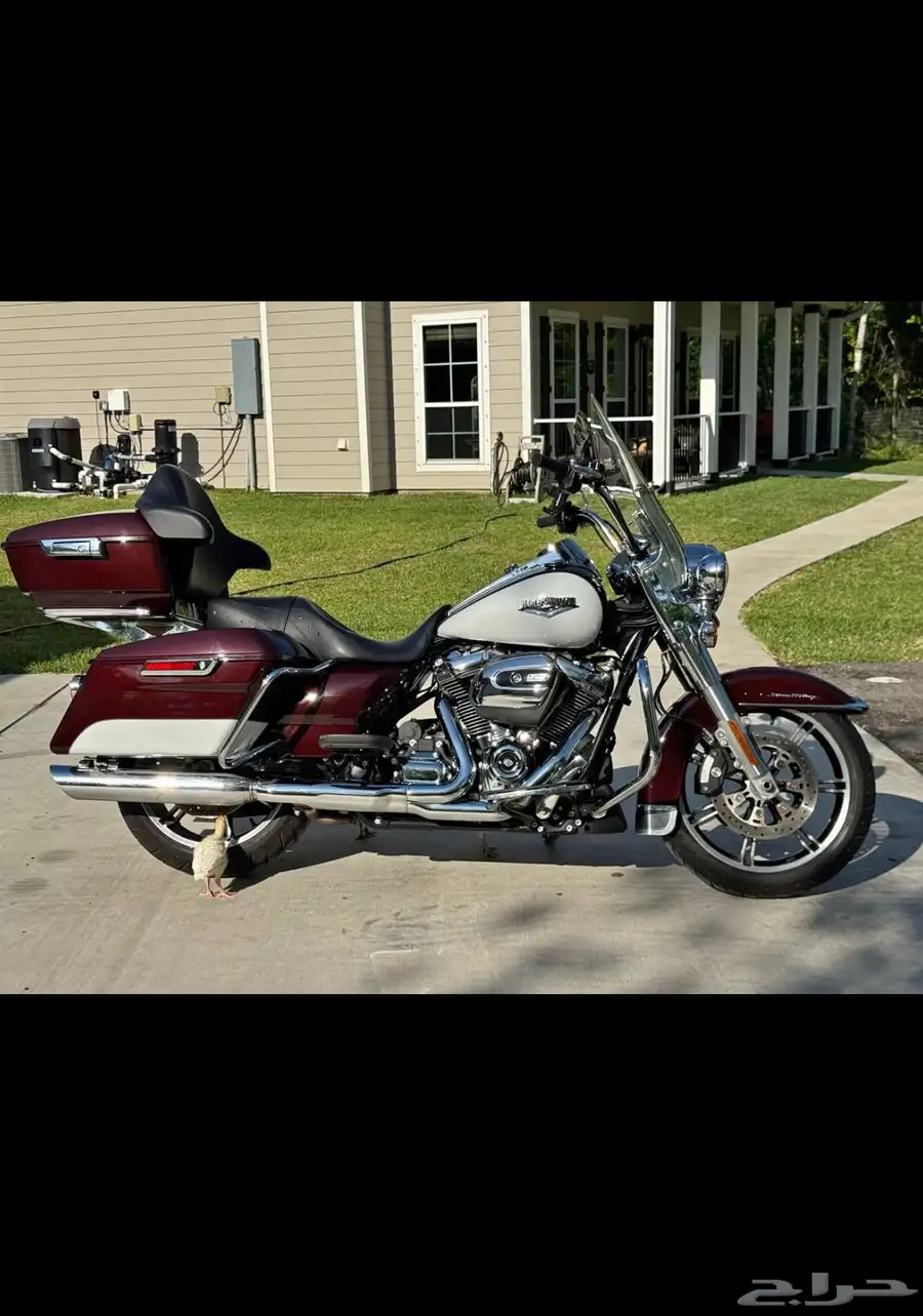 هارلي رود كنج Harley Road King 2021 0