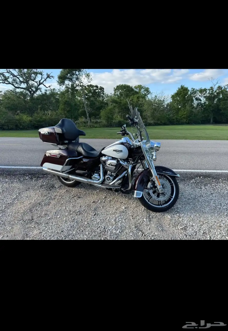 هارلي رود كنج Harley Road King 2021 8