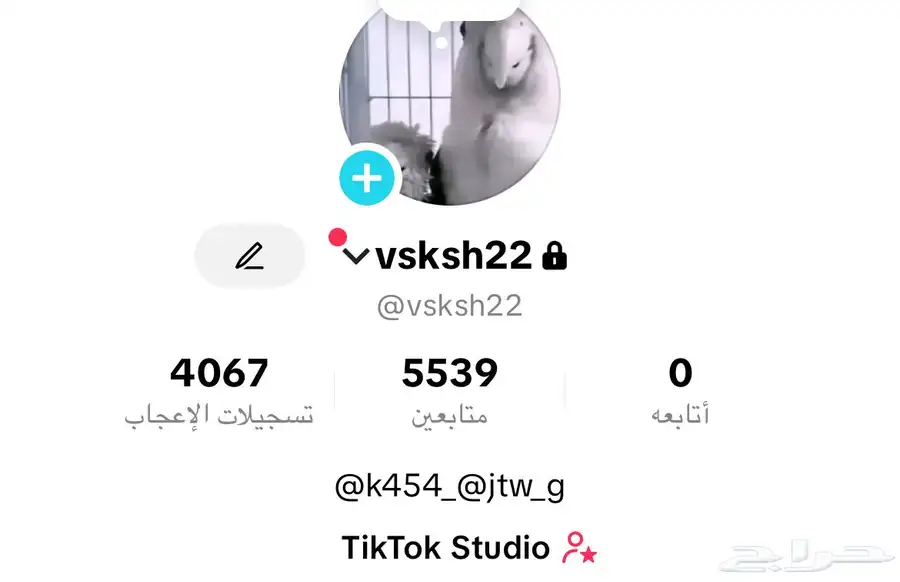 حسابين تيك توك رخيصه جدا 1