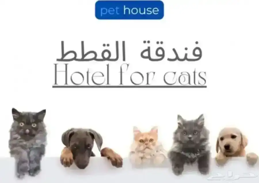 فندقه قطط وحيوانات غيرها 0