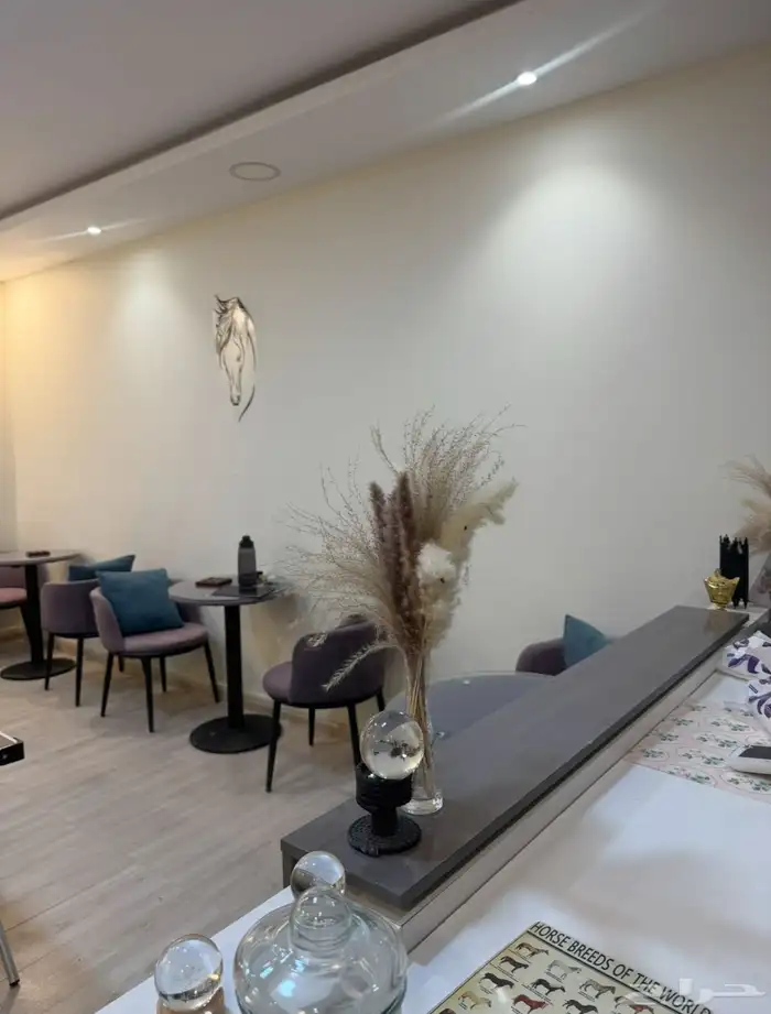 شاليه واسطبل 150 ريال 1