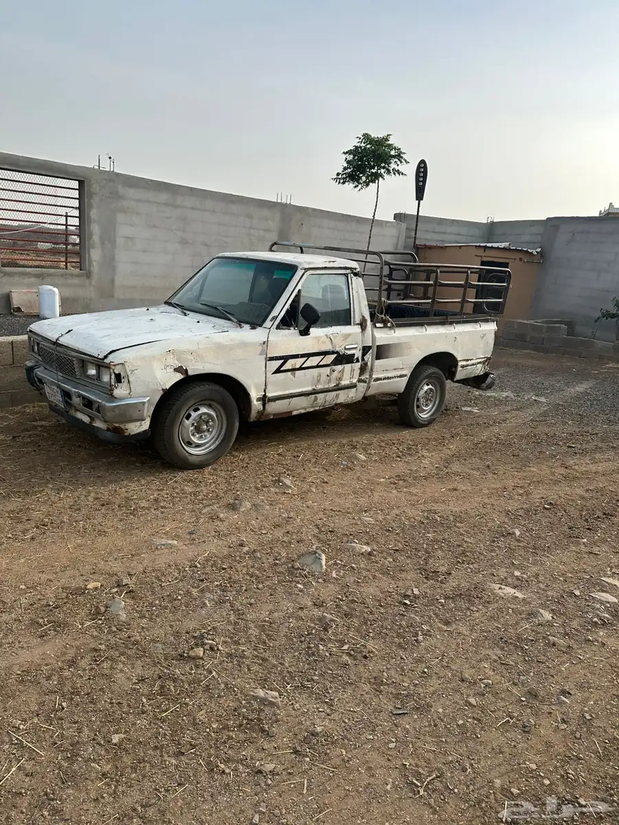 ددسن 85 مطوف وغير مفحوص 0