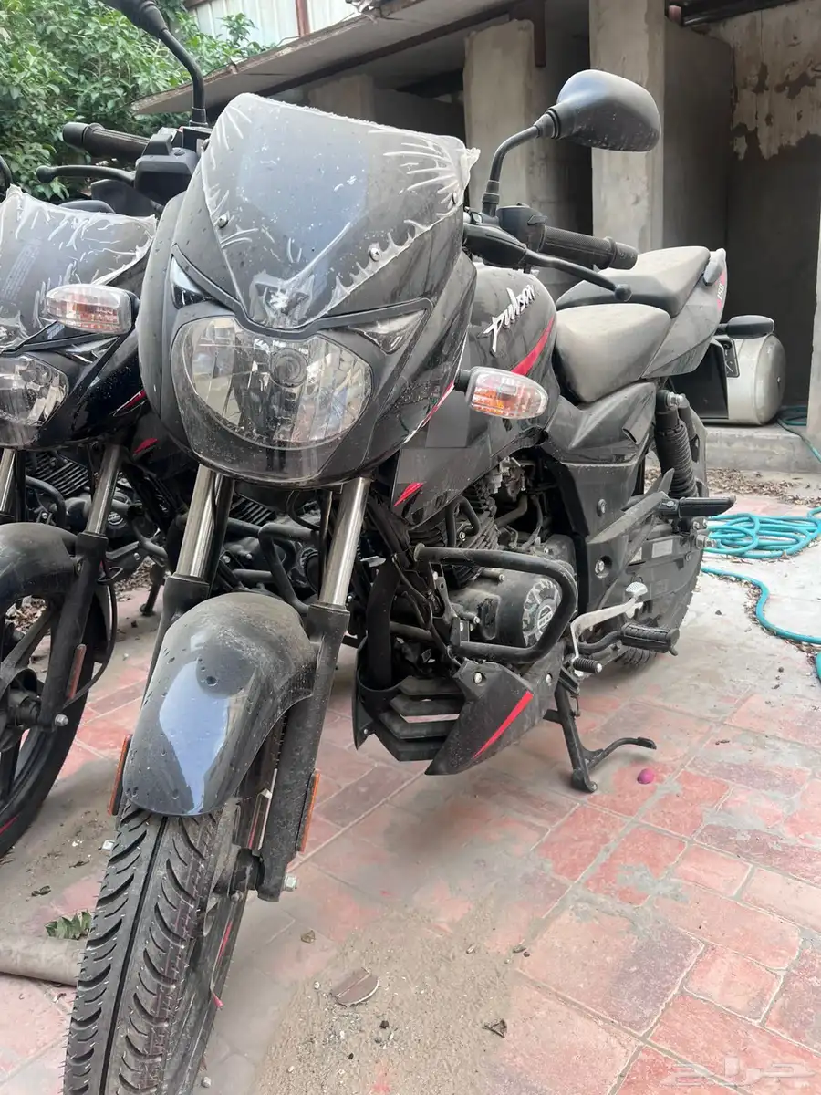 Bajaj Pulsar 2025 bikes index