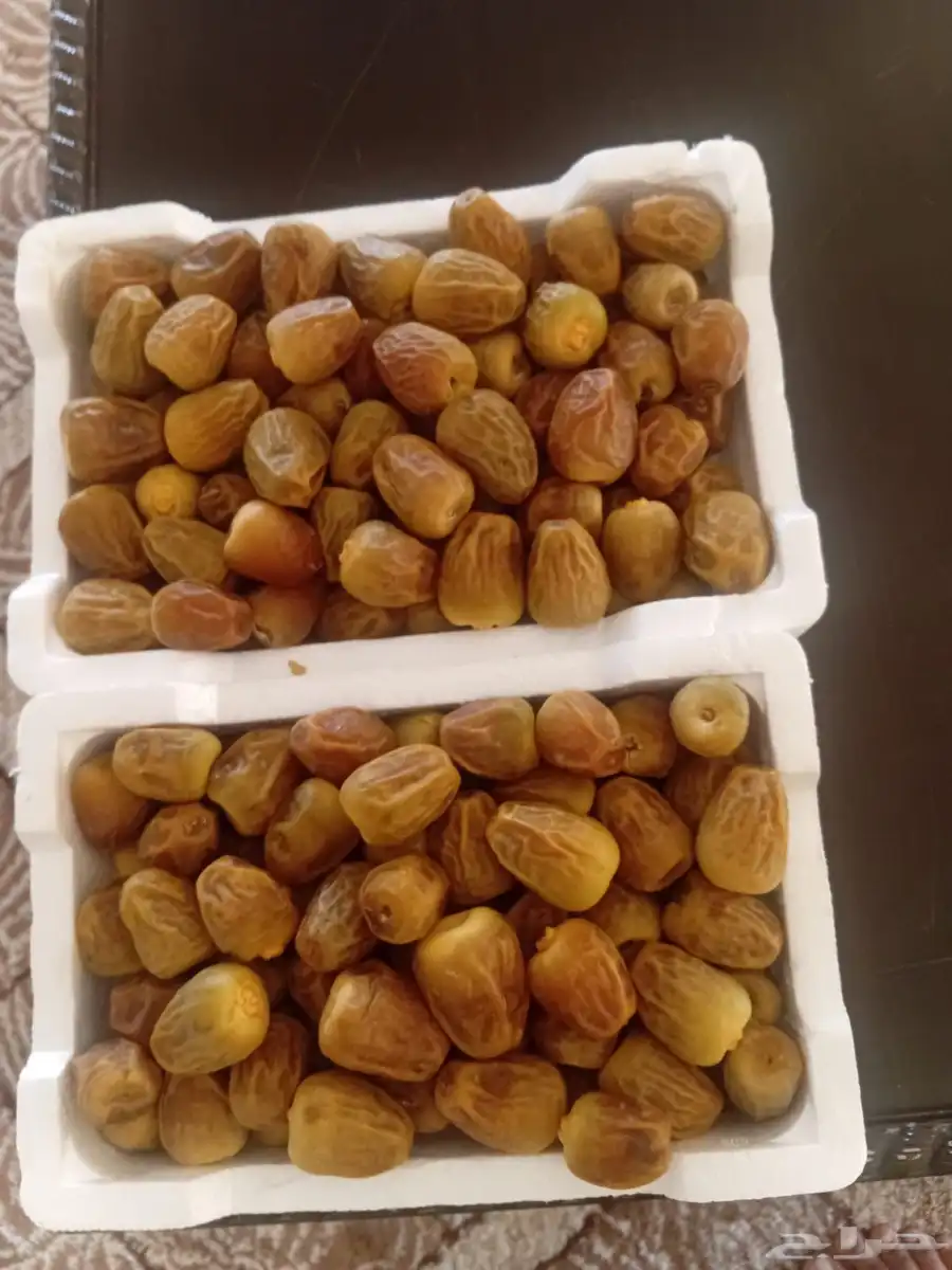 خراف اليوم بدون كيماوي سكري 0
