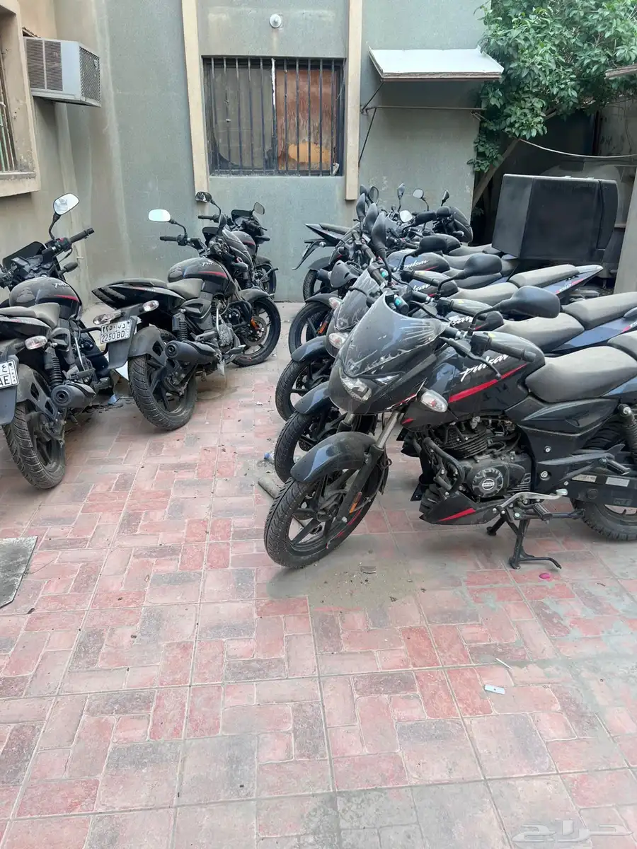 Bajaj Pulsar 2025 bikes index
