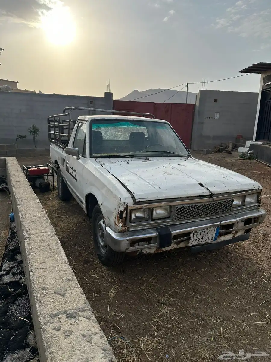 ددسن 85 مطوف وغير مفحوص 1