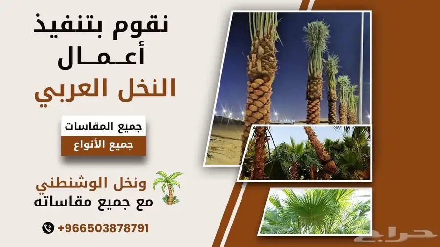 مقاول شبوك بنيان بيوات تراثيه طين زراعت نخل واشنطن اشجار 2