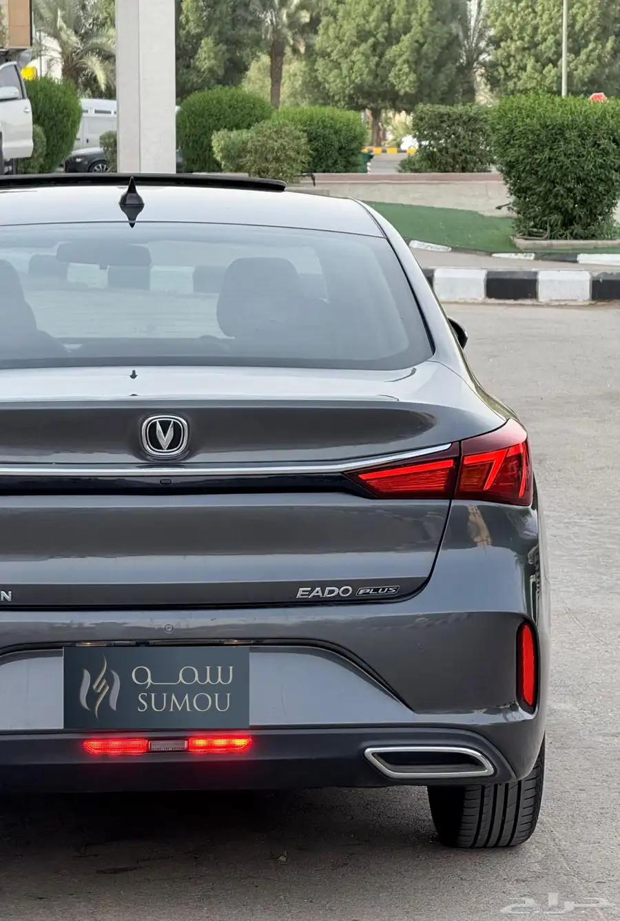 شانجان ايدو 2022 4