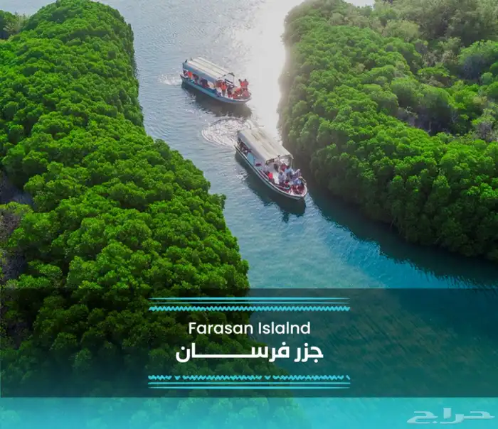 خدمات حجز رحلات فرسان 0