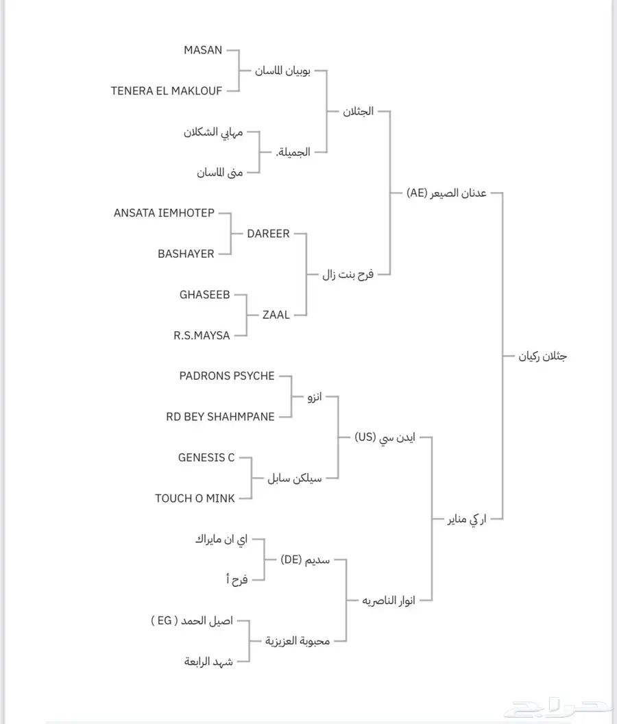 حصان واهو 0