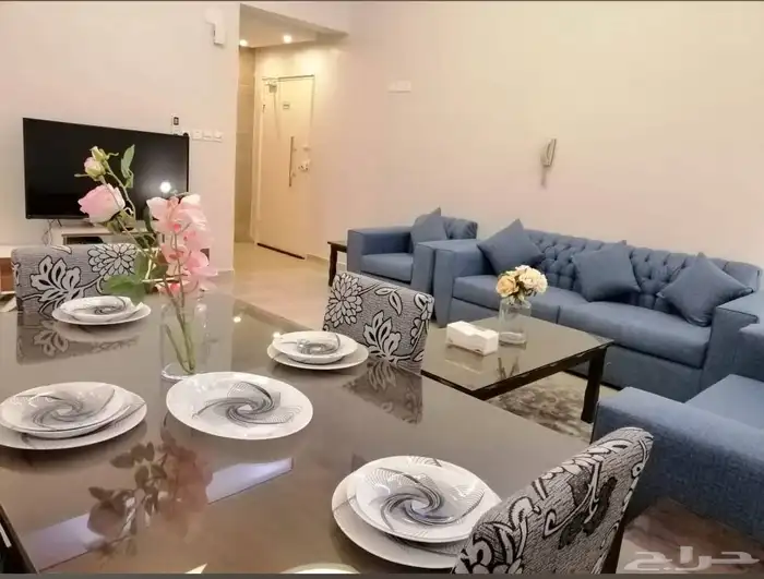 شقق الحرقان المفروشة قرب مطار ابها 4