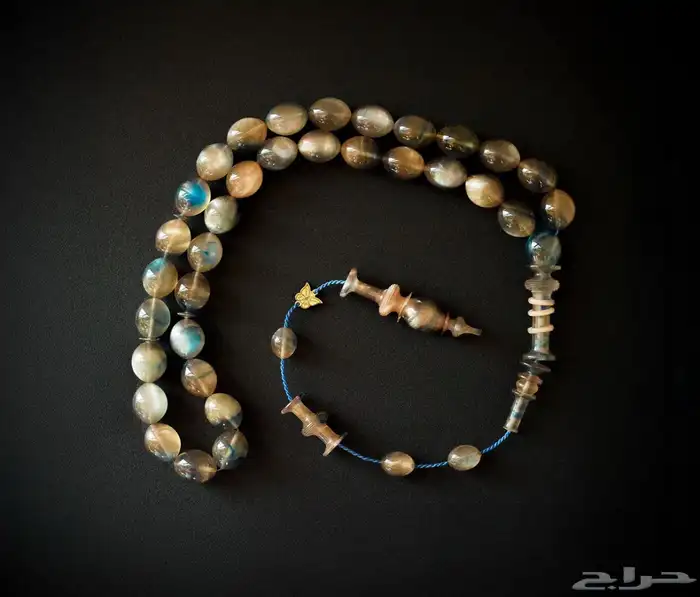 سبح يوجد توصيل 12