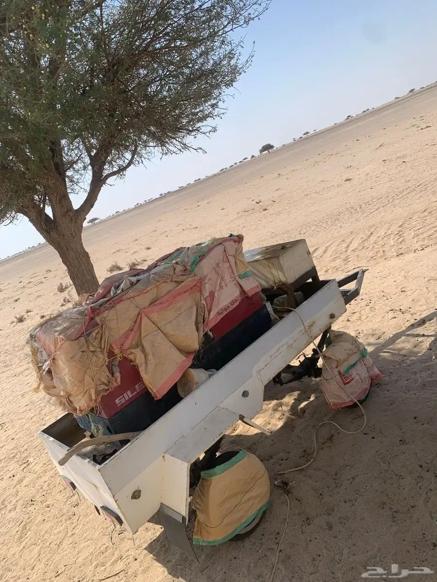 للبيغ غرفة شرائح طول 16 نضيفة مكيفات وطاقات وثلاجة 8