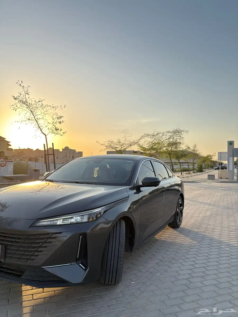 ايدو بلس 2025 1
