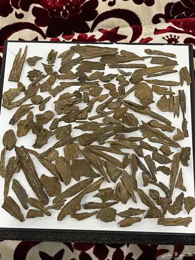 عود كلمنتان طبيعي نقوة النقوة 0