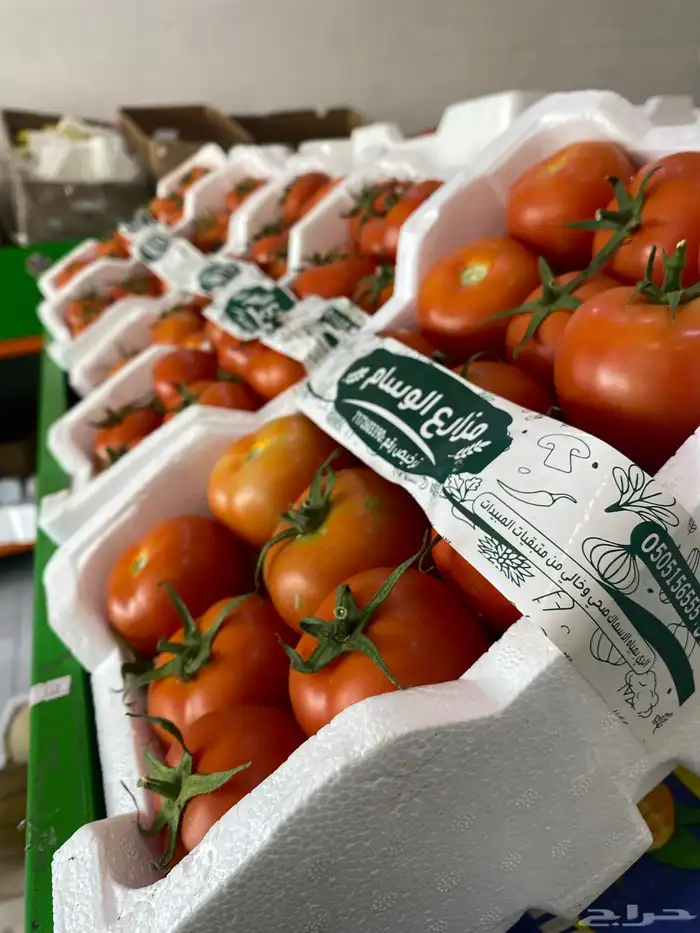 خضار وفواكه توصبل للبيوت طازجه يوميا 3