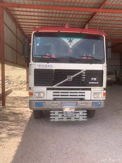 راس فلفو زاهد F12للبيع 1