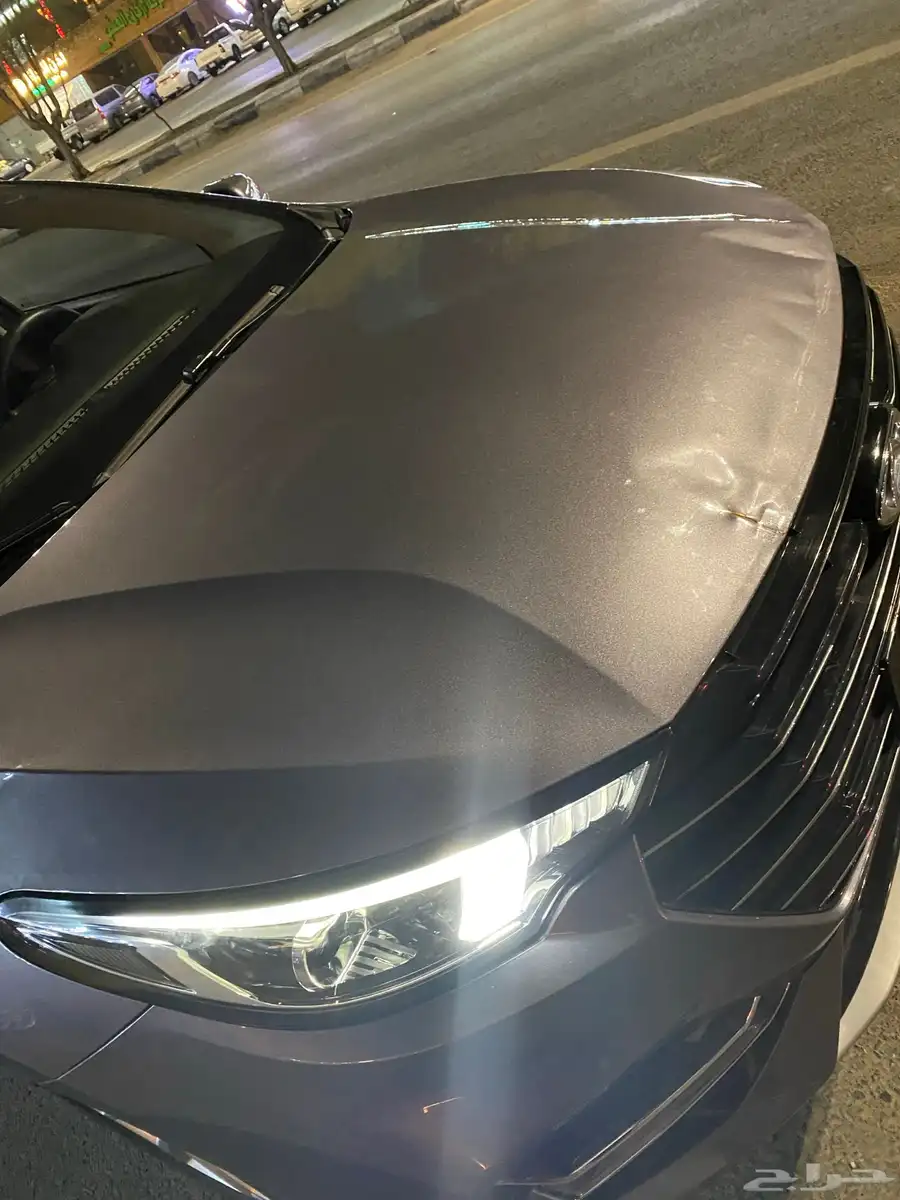 شيري اريزو 6 2023 3