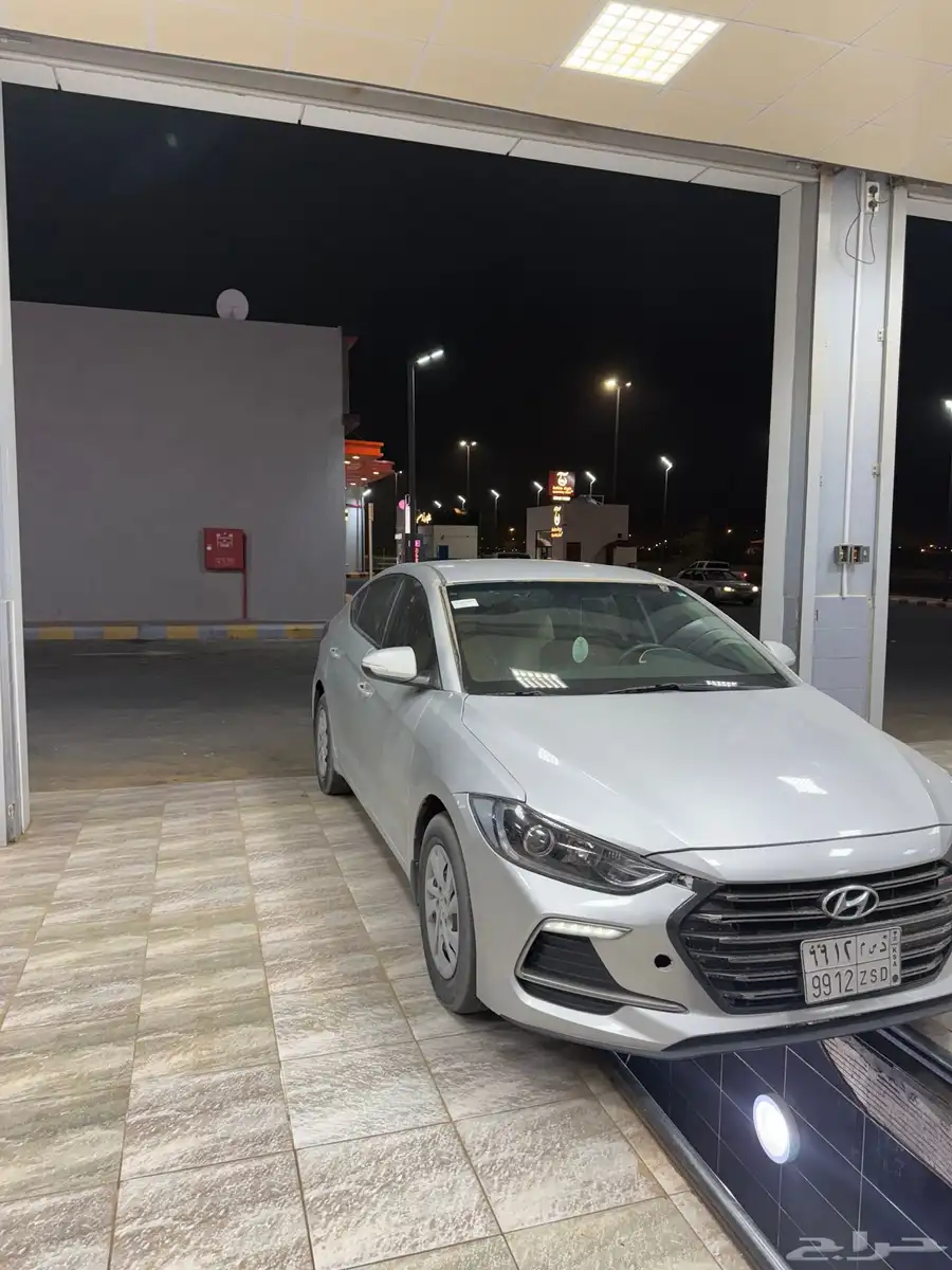 النتراء للبيع 12