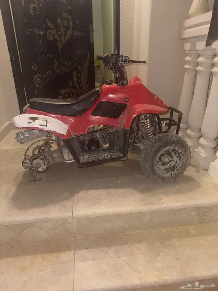 دباب على ماعتقد صيني 2