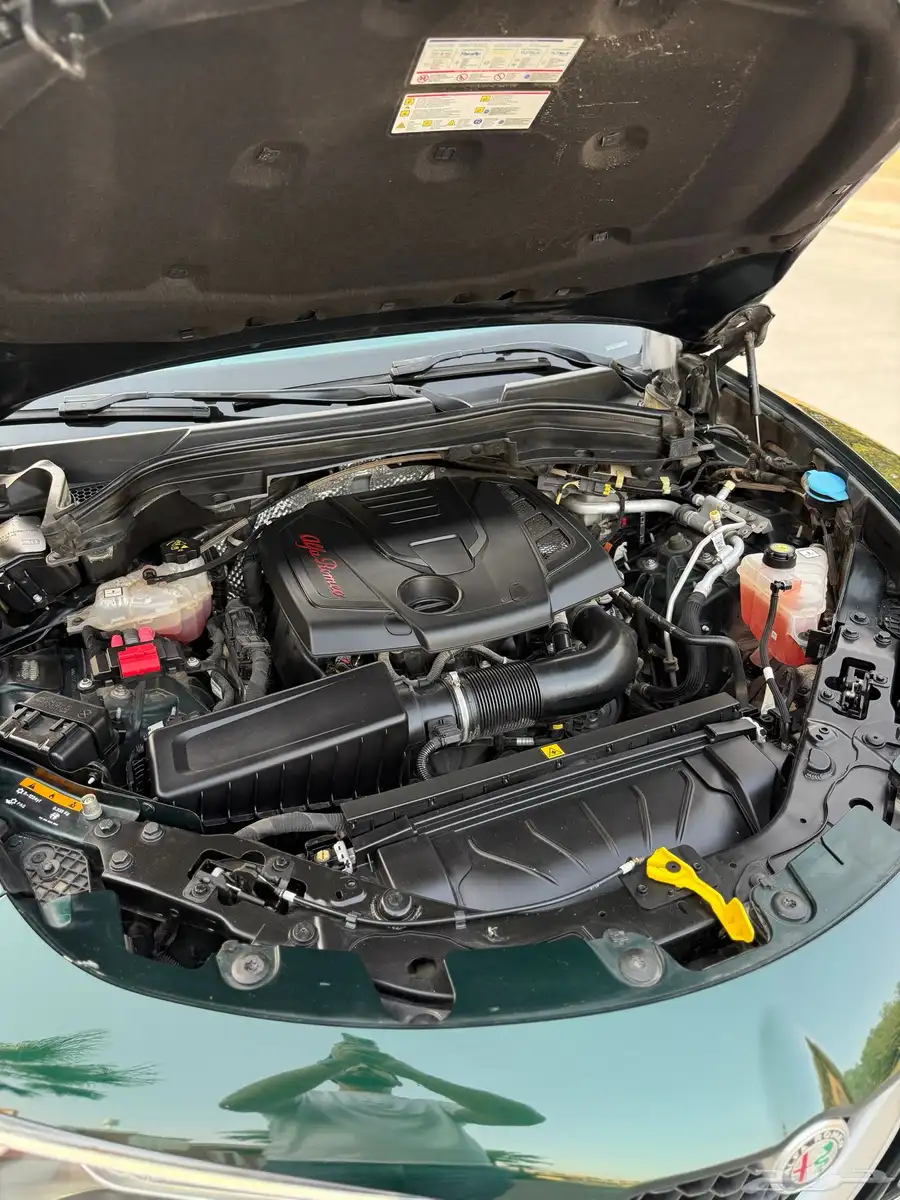 Alfa Romeo Stelvio Q4 2021 32