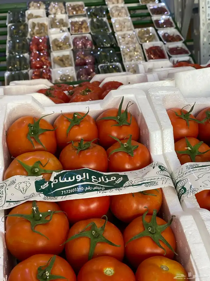 خضار وفواكه توصبل للبيوت طازجه يوميا 10