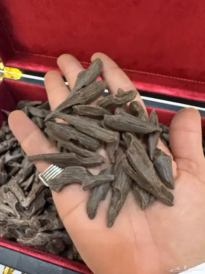 كلمنتان البنتلي القديم متوفر كيلو واحد فقط 3