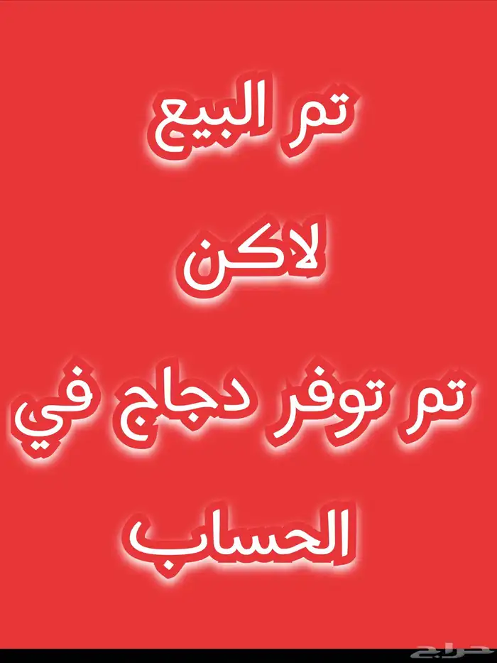 دجاج 4 ذكر 3انثى البيع على السوم يبدا من 20 0