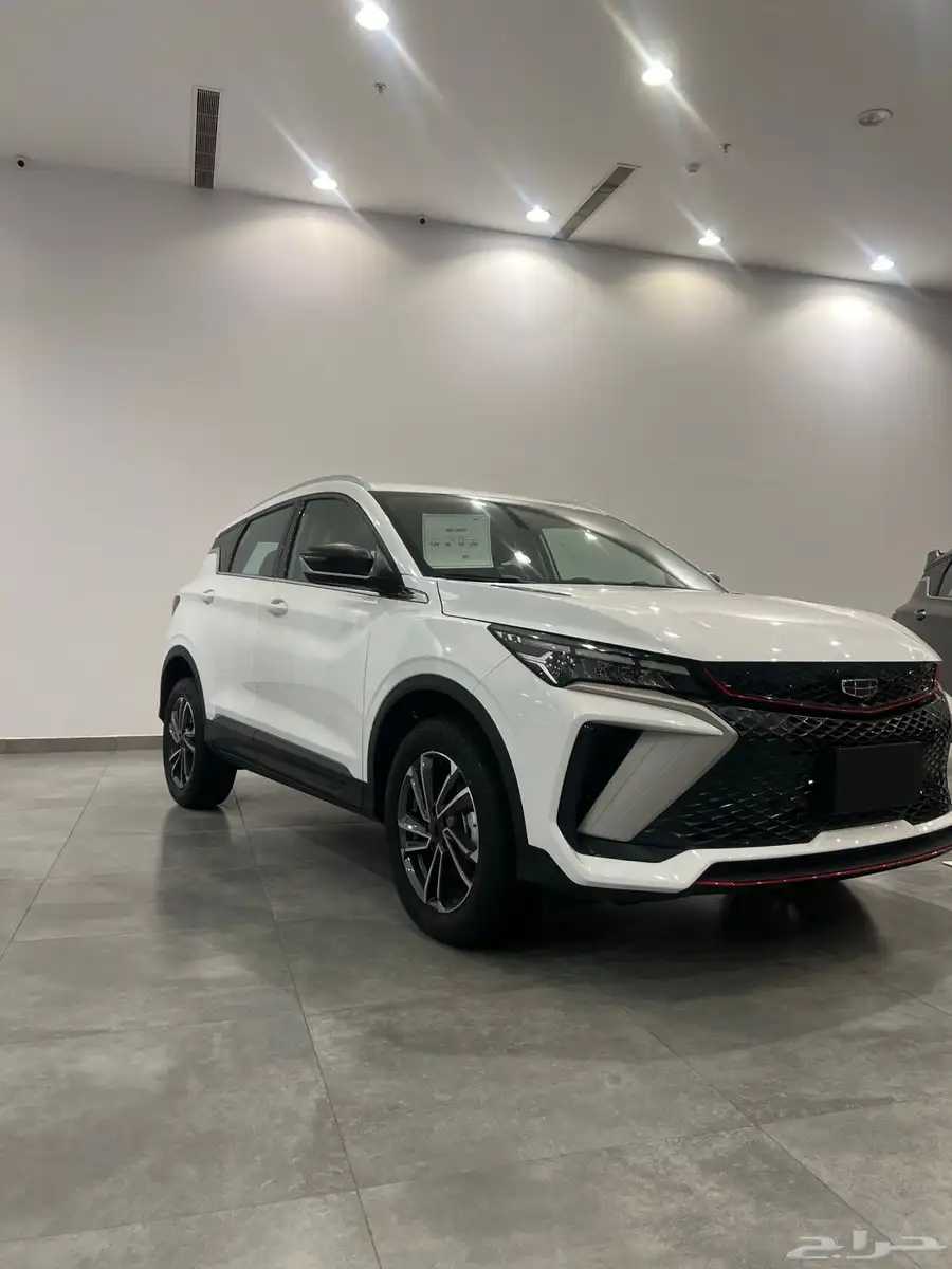 جيلي كولراي استاندر GS 2025 9