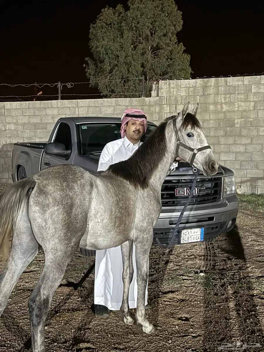 مهر شعبي 0