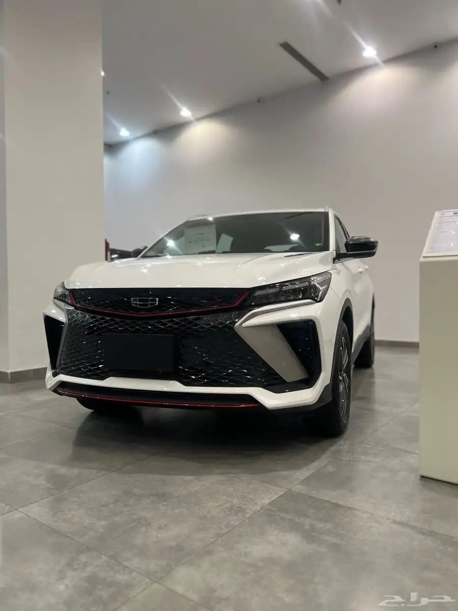جيلي كولراي استاندر GS 2025 13