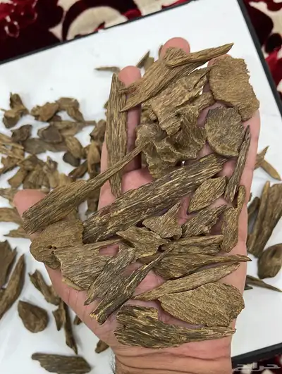 عود كلمنتان طبيعي نقوة النقوة 5