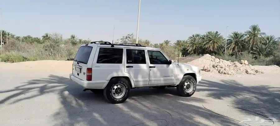 القطيف 4
