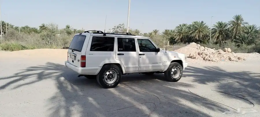 القطيف 8