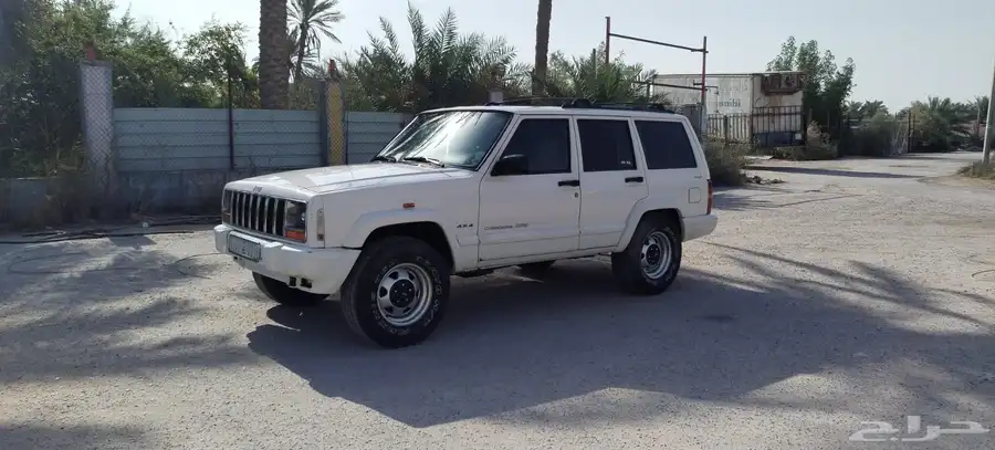 القطيف 7