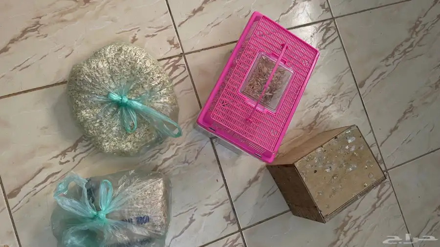 للبيع زوجين روز بملحقاتها 2