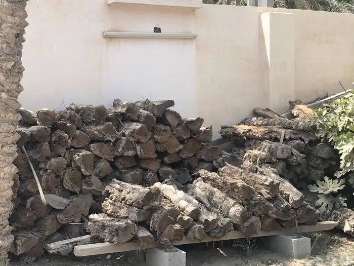 جذوع نخل يابسة وكرب 3