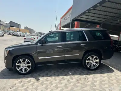 تم البيع تم البيع تم البيع SOLD SOLD SOLD 0