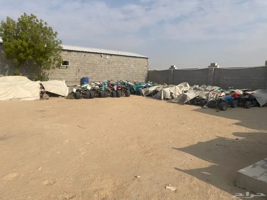 دباب 0