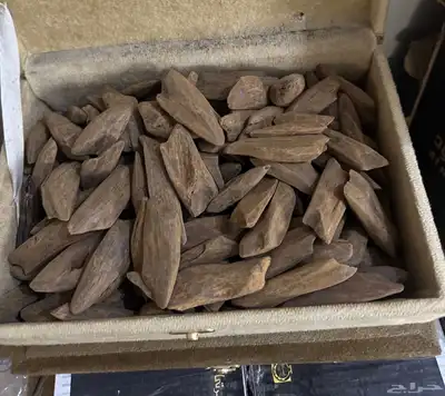 للبيع مجموعة عطور فرنسيه بسعر الجملة 6