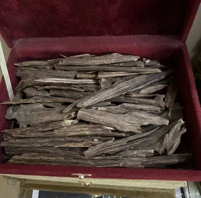 للبيع مجموعة عطور فرنسيه بسعر الجملة 7