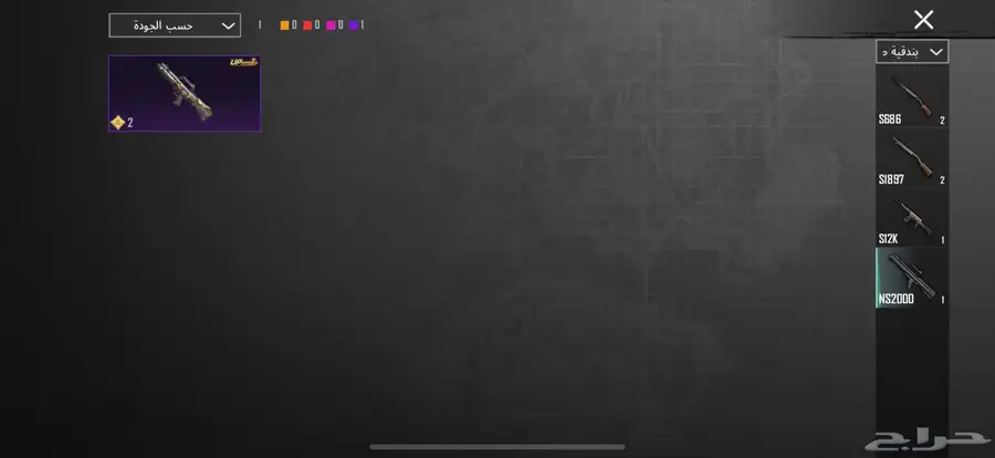 حساب ببجي للبيع 46