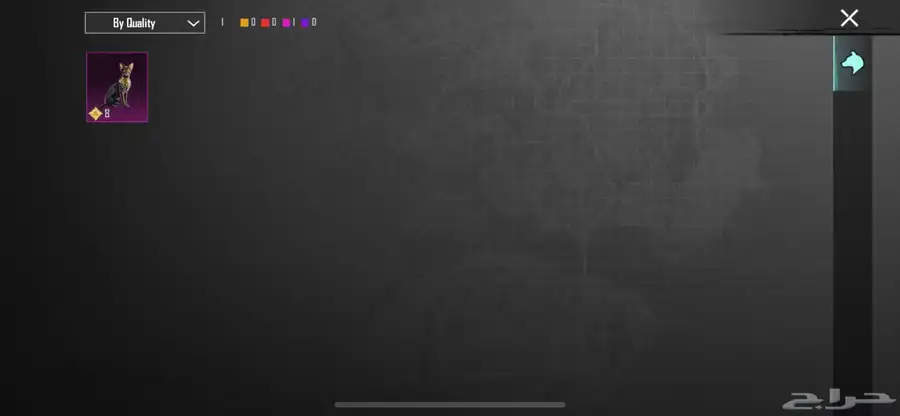 حساب ببجي للبييع 11